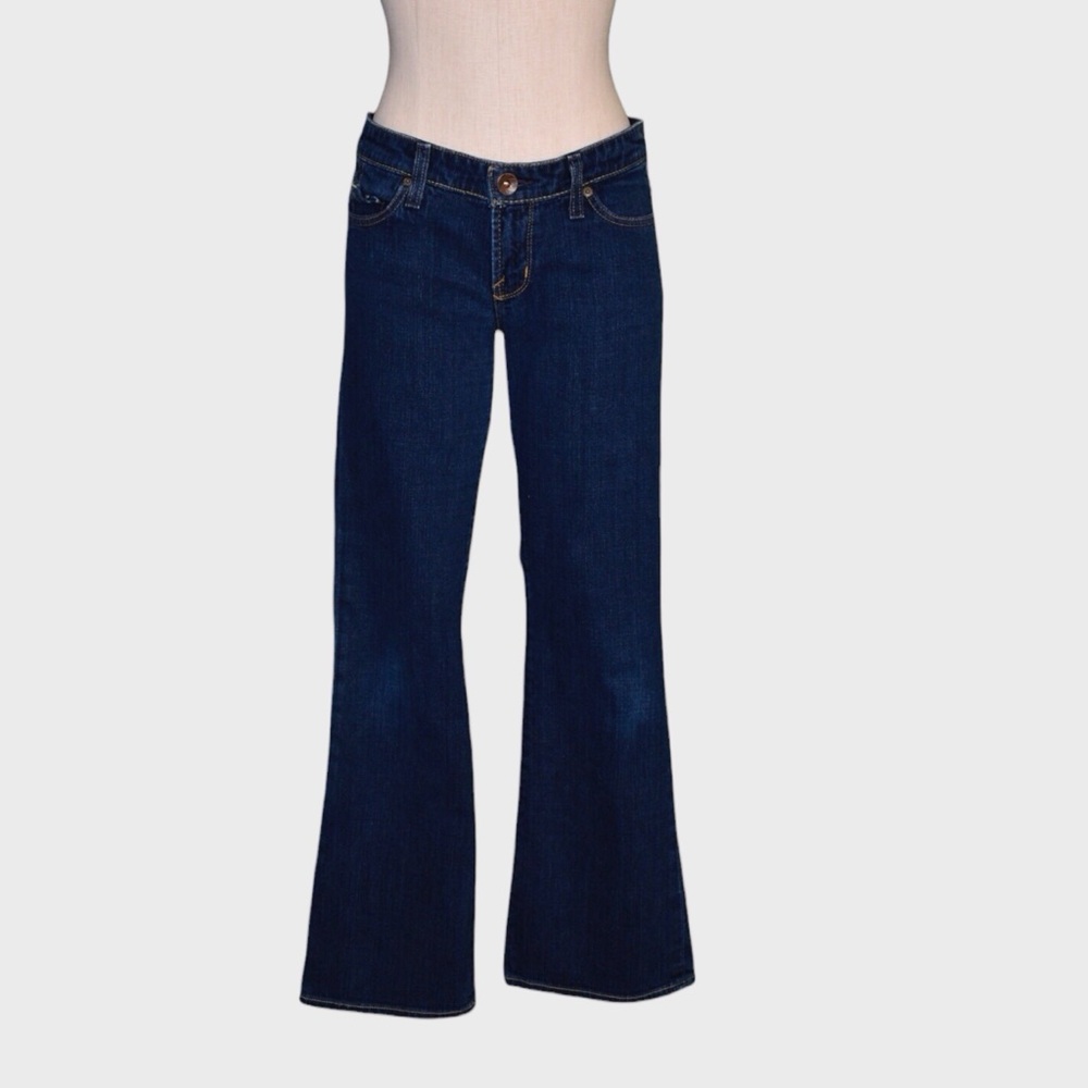 Express X2 Slim W10 Low Rise Flare Leg Jeans